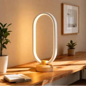 Modern LED Desk Lamp | Aesthetic Oval Shape Dimmable Table Lamp for Bedroom | Home Decor